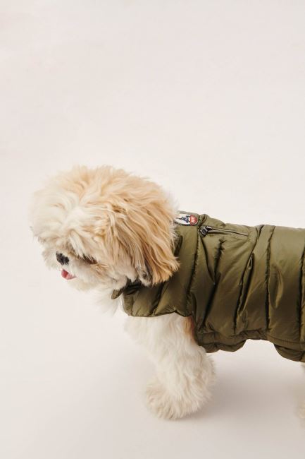 Army Dogs Down Jacket Woop Jott
