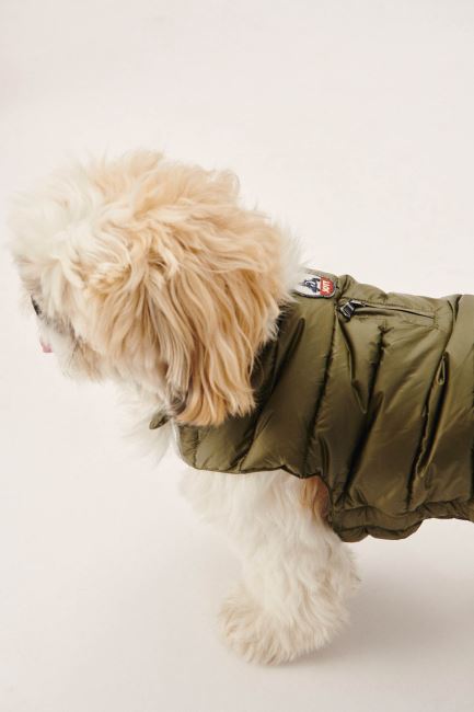 Army Dogs Down Jacket Woop Jott