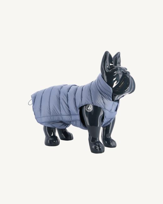 Blue Delave Dogs Down Jacket Woop Jott