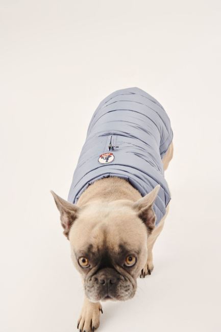 Blue Delave Dogs Down Jacket Woop Jott