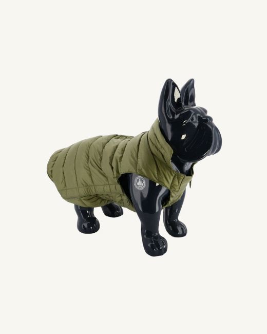 Bush Dogs Down Jacket Woop Jott