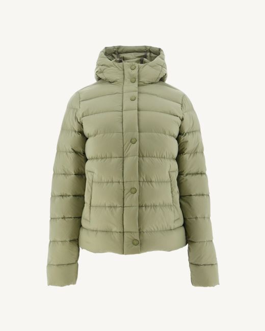 Jott Bush Jane Straight Hooded Puffer Jacket