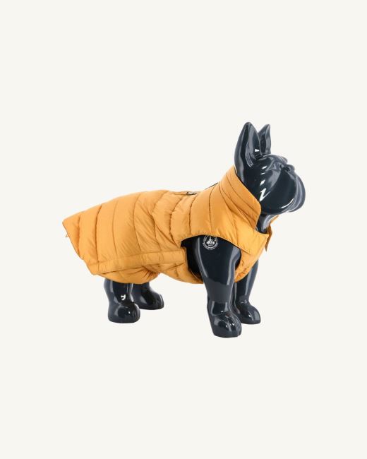 Jott Moutarde Dogs Down Jacket Woop