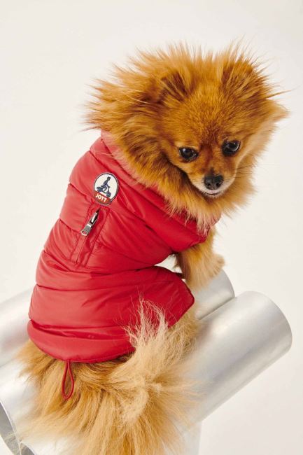 Jott Rouge Dogs Down Jacket Woop
