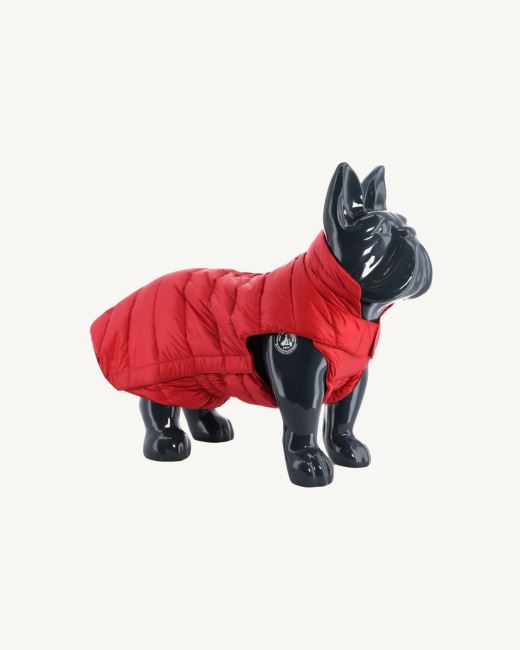Jott Rouge Dogs Down Jacket Woop