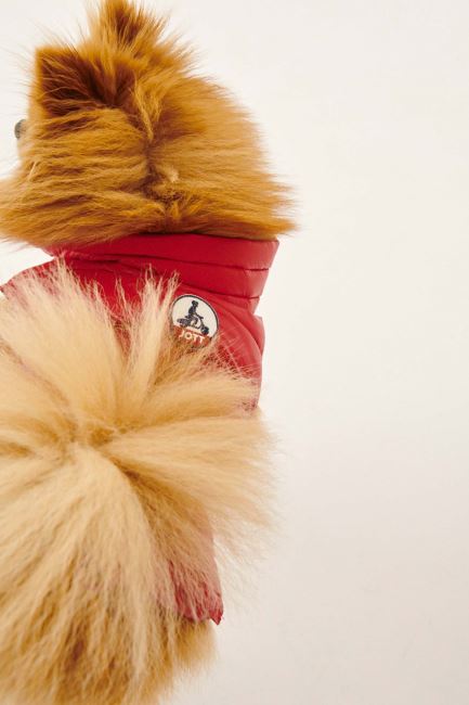 Jott Rouge Dogs Down Jacket Woop