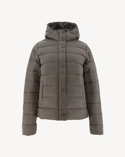 Jott Taupe Jane Straight Hooded Puffer Jacket