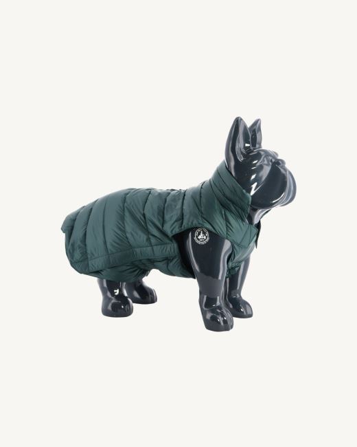 Jott Vert Fonce Dogs Down Jacket Woop