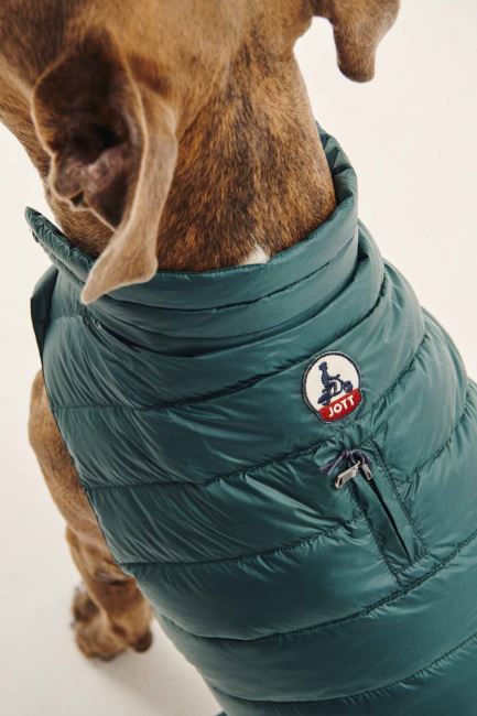 Jott Vert Fonce Dogs Down Jacket Woop